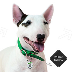 Ошейник Mr.Kranch для собак из натуральной кожи с QR-адресником, 25-30см, зеленый фото 3