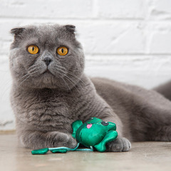 Игрушка Petstages для кошек "Танцующий лягушонок со звуком" с кошачьей мятой 14 см фото 2