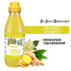 Шампунь для животных Iv San Bernard ISB Fruit of the Grommer Ginger&Elderbery, против раздражений и перхоти, для любого типа шерсти, 500 мл, NSHAZE500 фото 3