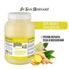 Шампунь ISB FRUIT OF THE GROMMER GINGER & ELDERBERY SHAMPOO Ив Сан Бернард шампунь против раздражений и перхоти для собак и кошек с любым типом шерсти (3,25 л), NSHAZE3250 фото 3