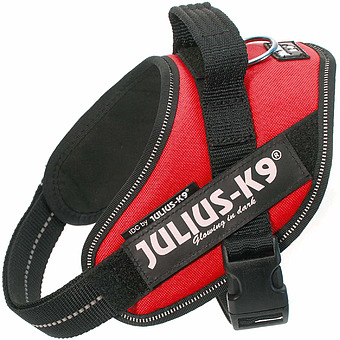 Шлейка Julius-K9 IDC®-Powerharness Mini-Mini для собак (40-53см/ 4-7кг) красный фото 1