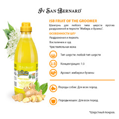 Шампунь ISB FRUIT OF THE GROMMER GINGER & ELDERBERY SHAMPOO Ив Сан Бернард шампунь против раздражений и перхоти для собак и кошек с любым типом шерсти (1 л), NSHAZE1000 фото 4