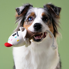 Игрушка Mr.Kranch для собак мелких и средних пород Мороженое с канатом 29х8х6,5см, бежевое фото 2