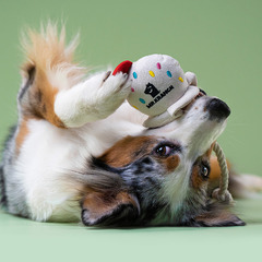 Игрушка Mr.Kranch для собак мелких и средних пород Мороженое с канатом 29х8х6,5см, бежевое фото 3