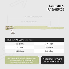 Ошейник Mr.Kranch для собак из натуральной кожи с QR-адресником, 20-24см, нежно-зеленый фото 10