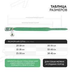 Ошейник Mr.Kranch для собак из натуральной кожи с QR-адресником, 22-26см, зеленый фото 10