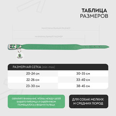 Ошейник Mr.Kranch для собак из натуральной кожи с QR-адресником, 22-26см, зеленый фото 8