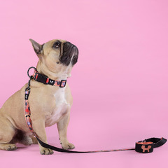 Поводок United Pets для собак Complete me Forever 140 см, 16 мм, оранжевый с рисунком фото 8