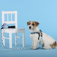 Поводок United Pets для собак Complete me Writing 120 см, 25 мм, голубой с рисунком фото 6