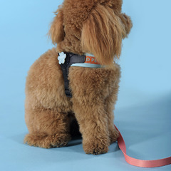 Шлейка United Pets для собак Complete me 1,5 x 34-42 см, голубая с оранжевым фото 3